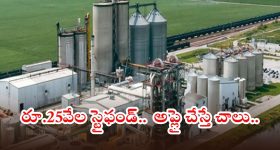 The Kerala story: కేరళ స్టోరీ కల్పితం కాదు నిజమే అంటున్న బాధితురాలు.. వీడియో వైరల్!