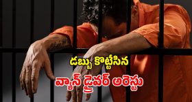 Home Vastu: ఇంట్లో వాస్తు దోషం ఉందా..? అయితే ఆ మొక్కను నాటమంటున్నారు నిపుణులు