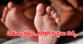 Sailesh Kolanu: ఇలాగే ఎంతో మంది భుజం తట్టాలి.. నానికి శైలేష్ కొలను స్పెషల్ బర్త్‌డే విశెస్!