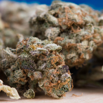 Hyderabad Drugs: హైదరాబాద్‌లో డ్రగ్స్ వేట.. రూ. 35 లక్షల విలువైన గంజాయి స్వాధీనం.. ఒడిశా ముఠా అరెస్ట్!