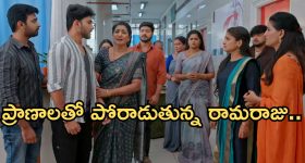 Elon Musk Smartphone: ఆండ్రాయిడ్, ఐఫోన్‌కు పూర్తిగా భిన్నమైన టెక్నాలజీ కొత్త ఫోన్.. ఎలాన్ మస్క్ షాకింగ్ ప్లాన్