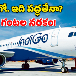 IndiGo Airlines: రన్‌వేపై నిలిచిన విమానం.. లోపల ఊపిరాడక ప్రయాణికుల విలవిల!