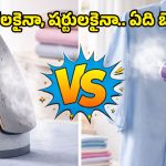 Iron vs Steamer: బట్టలు కాలిపోకుండా ఉండాలంటే.. ఐరన్ బాక్స్ వాడాలా? లేక స్టీమరా?
