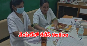 Jagitial News: వార్నీ.. ఆ గేదె పాలు తాగిన 30 మందికి రేబీస్ భయం! జగిత్యాల జిల్లాలో ఏం జరిగిందంటే?