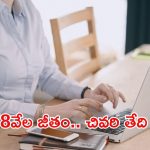 Supreme Court Recruitment: డిగ్రీ అర్హతతో కోర్టులో జాబ్స్.. ఈ ఉద్యోగం వస్తే భారీ వేతనం, ఇంకెందుకు ఆలస్యం