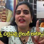 Karate Kalyani: ఆ వెధవ అన్వేష్ గాడు.. ఇక బత్తాయి జ్యూస్ అమ్ముకోవడమే!