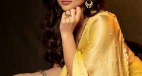 Kayadu Lohar: చీరకట్టులో చక్కిలిగింతలు పెడుతున్న కయాదు లోహర్!