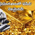 Lab Grown Gold: ల్యాబ్ లో తయారవుతున్న ‘బంగారం’.. ఆభరణాలు తయారీ, అమ్ముకోవడానికి పనిచేస్తుందా?