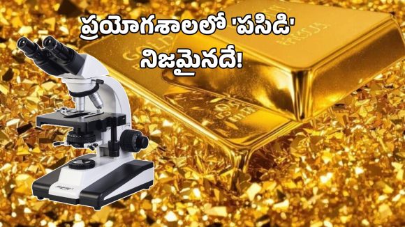Lab Grown Gold: ల్యాబ్ లో తయారవుతున్న ‘బంగారం’.. ఆభరణాలు తయారీ, అమ్ముకోవడానికి పనిచేస్తుందా?