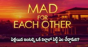 Mad For Each Other: కపుల్ షో.. మరీ ఇంతగా దిగజారిపోతున్నారేంటిరా?