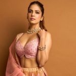 Malavika Mohanan: క్రేజీ ఆఫర్ కొట్టేసిన ప్రభాస్ బ్యూటీ.. హీరో, డైరెక్టర్ ఎవరంటే?