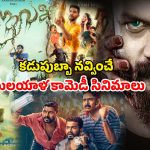 Malayalam Comedy movies OTT : భయపెడుతూ నవ్వు తెప్పించే మలయాళ సినిమాలు… ఏ ఓటీటీలో చూడచ్చు అంటే ?