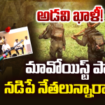 Maoist Exit: తుపాకీ వదిలి జనంలోకి.. అగ్రనేతల లొంగుబాటు వెనుక అసలు కథ ఇదే!