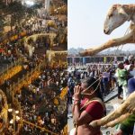 Medaram Jatara: మేడారం మహా జాతర ఖర్చు వెయ్యి కోట్లు!.. మద్యం, మాంసానికే రూ.400 కోట్లట!