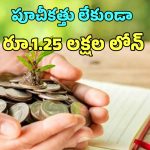 Micro Finance Loan: ఎలాంటి పూచీకత్తు లేకుండా రూ.1.25 లక్షల లోన్… ఎవరు అర్హులంటే?
