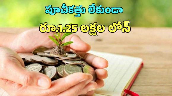 Micro Finance Loan: ఎలాంటి పూచీకత్తు లేకుండా రూ.1.25 లక్షల లోన్… ఎవరు అర్హులంటే?