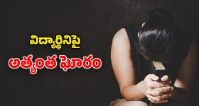 Petrol vs Diesel Car:  పెట్రోల్ vs డీజిల్ కార్లలో ఏది బెస్ట్? ఎందుకు?