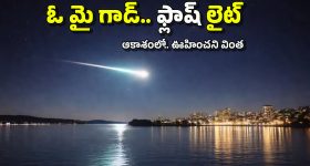 Mancherial Crime: నడి రోడ్డుపై అర్ధనగ్నంగా కానిస్టేబుల్.. భార్యను చితకబాదుతూ.. ఇంతకీ ఏమైంది?