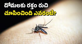 Andhra University Centenary Celebrations: నెల రోజుల పాటు ఆంధ్ర యూనివర్సిటీ శతాబ్ది సంబరాలు: మార్చి 26 నుంచే వేడుకల షురూ