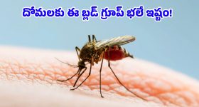 Early Morning vs Late Night: ఎర్లీ మార్నింగ్ vs లేట్ నైట్.. ఏ టైమ్ లో డ్రైవింగ్ చేయడం బెస్ట్?