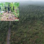 Mulugu Forests: వరంగల్ అడవుల్లో హైఅలర్ట్.. ములుగు సరిహద్దుల్లో భారీగా పోలీసు బలగాల మోహరింపు
