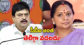 MV Soundara Rajan: చిలుకూరు బాలాజీ ఆలయ వ్యవస్థాపకుడు సౌందర రాజన్ కన్నుమూత