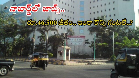 NABARD: నాబార్డ్‌లో ఉద్యోగాలు.. డిగ్రీ పాసైతే చాలు, డోంట్ మిస్