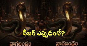 Kesineni Chinni on YCP: వైసీపీ ఒక ‘నకిలీ పార్టీ’.. జగన్ కుట్రలు సాగవు.. కేశినేని చిన్ని ఫైర్!
