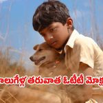 Neeli Hakki OTT release date : ఎట్టకేలకు డైరెక్ట్ గా ఓటీటీలోకి అవార్డు విన్నింగ్ మూవీ… స్ట్రీమింగ్ ఎప్పుడు ఎక్కడ ?