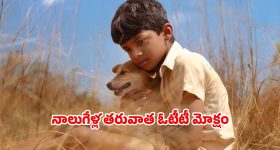 Indian Railways: కూర్చున్న చోటుకే ఆహారం.. రైల్వే సరికొత్త సదుపాయం, ఇలా చేస్తే చాలు!