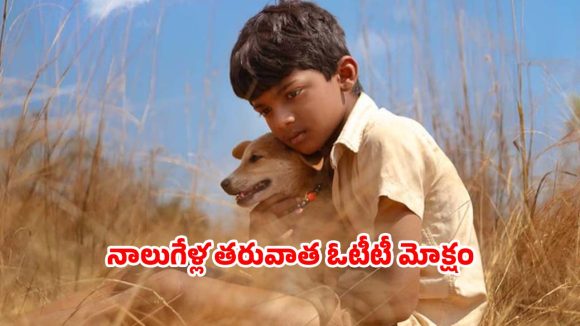 Neeli Hakki OTT release date : ఎట్టకేలకు డైరెక్ట్ గా ఓటీటీలోకి అవార్డు విన్నింగ్ మూవీ… స్ట్రీమింగ్ ఎప్పుడు ఎక్కడ ?