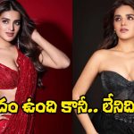 Nidhhi Agerwal: ‘రాజా సాబ్’ కూడా పాయె.. ఇప్పుడు నిధి పరిస్థితేంటి?