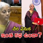 Union Budget 2026: బడ్జెట్ 2026 స్పెషల్.. నిర్మలా సీతారామన్ కట్టిన చీర చూశారా? రాజకీయంగా ఆసక్తికర చర్చ!