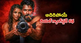 Romantic Thriller OTT : షాహిద్ కపూర్ లేటెస్ట్ రొమాంటిక్ యాక్షన్ థ్రిల్లర్ ఓటీటీలోకి... స్ట్రీమింగ్ మాత్రం అప్పుడే
