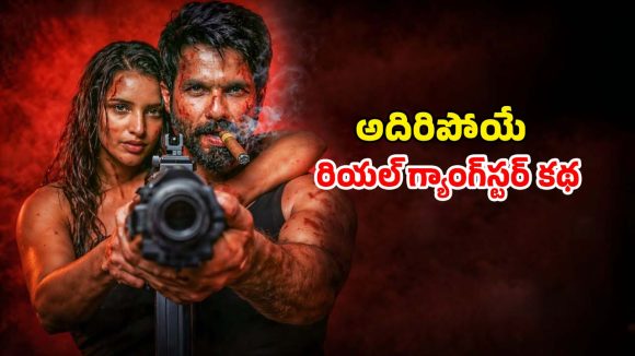 Romantic Thriller OTT : షాహిద్ కపూర్ లేటెస్ట్ రొమాంటిక్ యాక్షన్ థ్రిల్లర్ ఓటీటీలోకి… స్ట్రీమింగ్ మాత్రం అప్పుడే