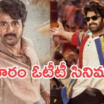 Friday OTT Movies : శుక్రవారం ఓటీటీలోకి 15 సినిమాలు.. ఆ రెండు డోంట్ మిస్..