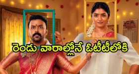 MP Raghunandan Rao: ఎన్నికల ప్రచారంలో ఎంపీ రఘునందన్ రావు సంచలన వ్యాఖ్యలు..?
