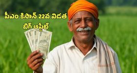 PM Kisan 22nd Installment: పీఎం కిసాన్ రూ.2 వేలు పడేది అప్పుడే.. మీ పేరు ఇలా చెక్ చేసుకోండి