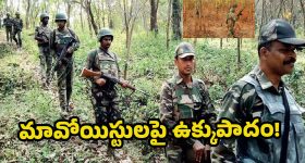 Scotland Cricket Team: ఇండియాలో అడుగుపెట్టిన స్కాట్లాండ్‌...పాకిస్తాన్, బంగ్లాదేశ్ క్రికెట‌ర్లు ఇక గాజులు వేసుకోవాల్సిందే
