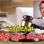Pak Fake Judge: ఓరి మీ దుంపతెగ.. హైకోర్టును వదల్లేదు కదరా.. పాక్‌లో విచిత్ర ఘటన!