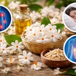 Parijat Benefits: పారిజాత పువ్వుల్లో దాగున్న ఆరోగ్యం.. ఒత్తిడి, డయాబెటిస్, కీళ్ల నొప్పులకు చెక్ పెట్టండిలా!