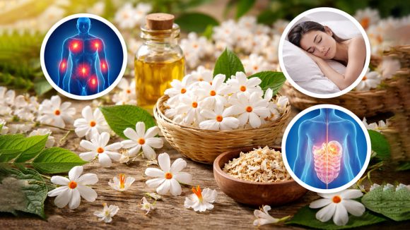 Parijat Benefits: పారిజాత పువ్వుల్లో దాగున్న ఆరోగ్యం.. ఒత్తిడి, డయాబెటిస్, కీళ్ల నొప్పులకు చెక్ పెట్టండిలా!
