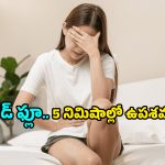 Period Flu: పీరియడ్స్ టైంలో జ్వరం, నీరసమా? పీరియడ్ ఫ్లూ నుంచి ఉపశమనం పొందే చిట్కాలివే!