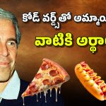 Epstein Files Code Words: పిజ్జా అంటే అమ్మాయి.. మరి, చీజ్.. ఐస్‌క్రీమ్.. పాస్తా అంటే? ఎప్‌స్టీన్ కోడ్ వర్డ్స్‌కు అర్థాలివేనా?