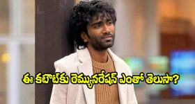 Pradeep Ranganathan: రూ. 50 లక్షల నుంచి రూ. 25 కోట్ల రెమ్యునరేషన్ వరకు.. ప్రదీప్ క్రేజ్ ఇది!