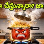 Pressure Cookers: ప్రెజర్ కుక్కర్ పేలడానికి కారణాలేమిటీ? ఎలాంటి జాగ్రత్తలు తీసుకోవాలి?