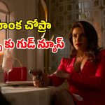 Spy Thriller Series OTT : ప్రియాంక చోప్రా స్పై థ్రిల్లర్ ఆగిపోలేదా ? క్రేజీ అప్డేట్ ఇచ్చిన గ్లోబల్ బ్యూటీ