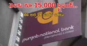 PNB Recruitment: నిరుద్యోగులకు భారీ గుడ్ న్యూస్.. పంజాబ్ నేషనల్ బ్యాంకులో 5,138 ఉద్యోగాలకు నోటిఫికేషన్ విడుదల