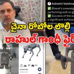 Rahul Gandhi: చైనా రోబోలు పట్టుకొచ్చి.. మనవని చెప్తారా? కేంద్రాన్ని ఏకిపారేసిన రాహుల్ గాంధీ