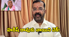 Rajender Reddy: ‘హరీష్ రావు నోరు విప్పితే అన్నీ అబద్ధాలే!’.. నాయిని ఘాటు వ్యాఖ్యలు